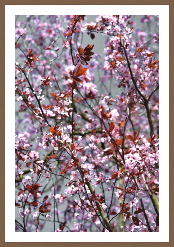 Main image Country Garden III
