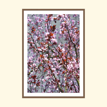 Country Garden III