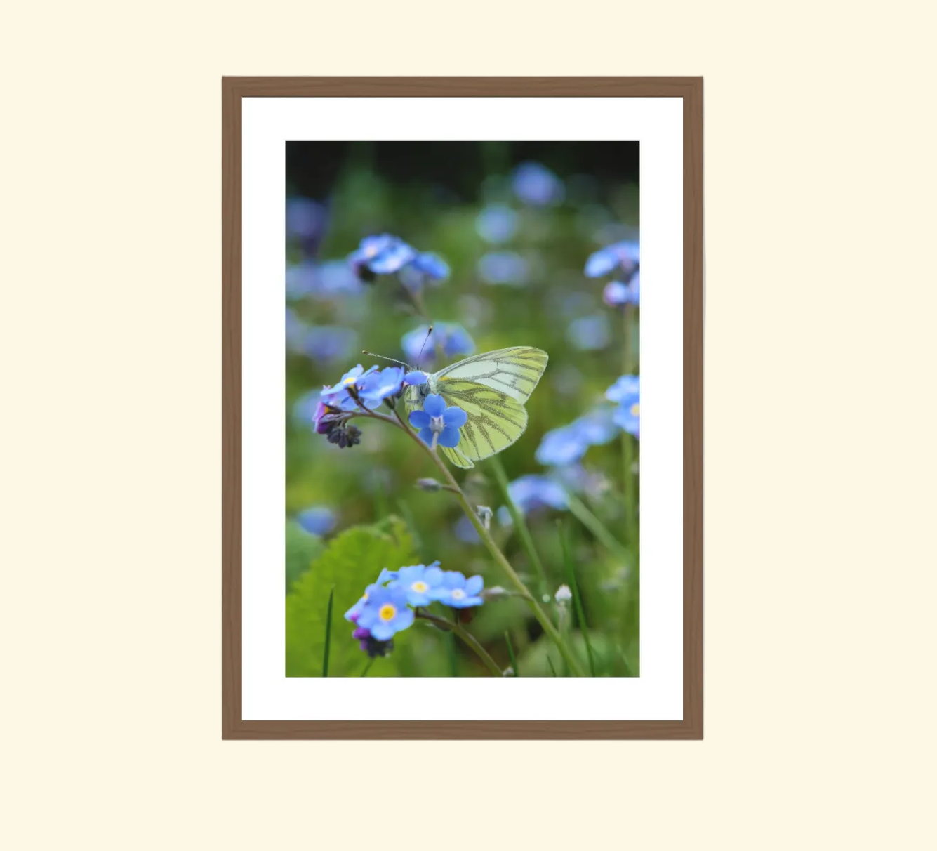 40 x 60 cm, walnut frame The Country Garden VI