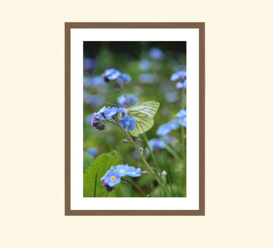 40 x 60 cm, walnut frame The Country Garden VI